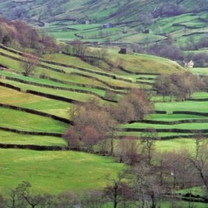 England’s Castles and Manors - 7 Days 8 AGA TRAVEL IS PART OF THE BAREFOOTPLUS England’s Castles and Manors - 7 Days